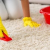 Бизнес идея: чисто почистить на чистке ковры