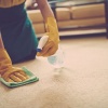 Почему не стоит стирать ковры дома?